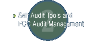 Self Audit Tools & Management